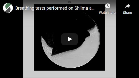 Breathing tests performed on Shilma and surgical masks