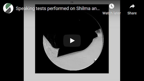 Speaking tests performed on Shilma and surgical masks